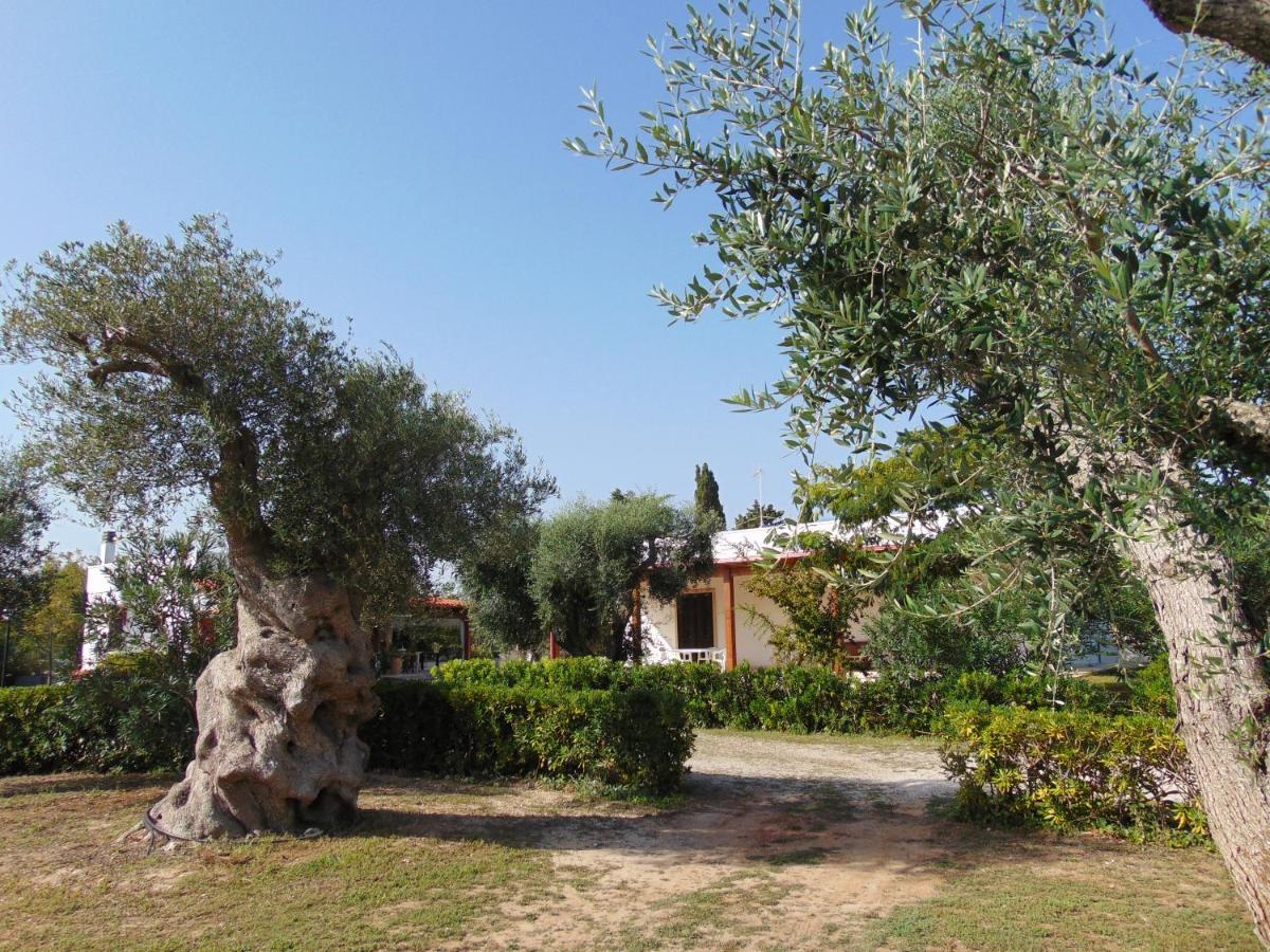 Agriturismo Villa Tommaso Torre dell'Orso Εξωτερικό φωτογραφία