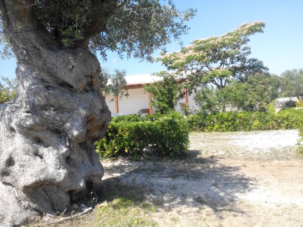 Agriturismo Villa Tommaso Torre dell'Orso Εξωτερικό φωτογραφία